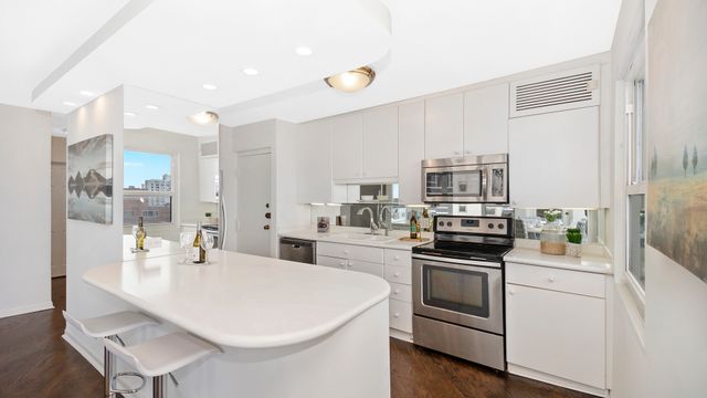 1313 N Ritchie Court 2405, Chicago, IL 60610