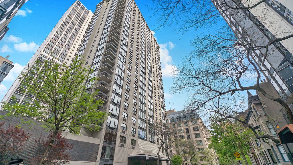 1313 N Ritchie Court 2405, Chicago, IL 60610