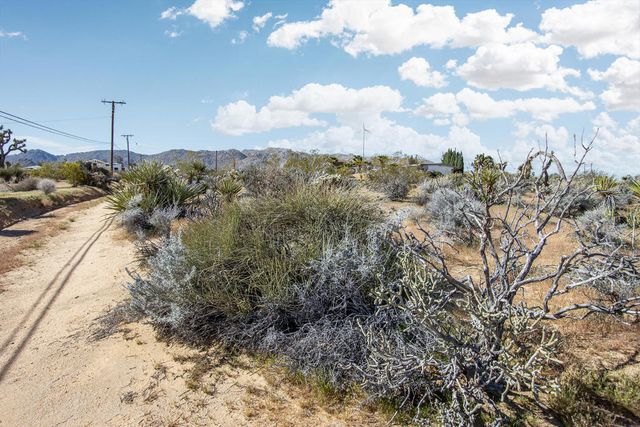 102 Saddleback Road, Joshua Tree, CA 92252