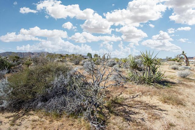 102 Saddleback Road, Joshua Tree, CA 92252