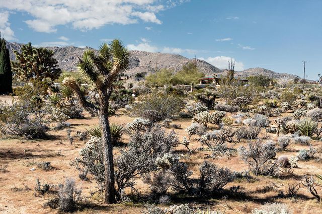 102 Saddleback Road, Joshua Tree, CA 92252