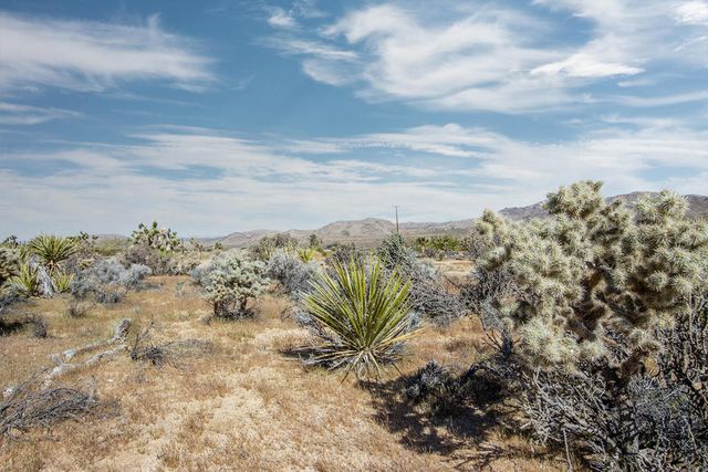 102 Saddleback Road, Joshua Tree, CA 92252