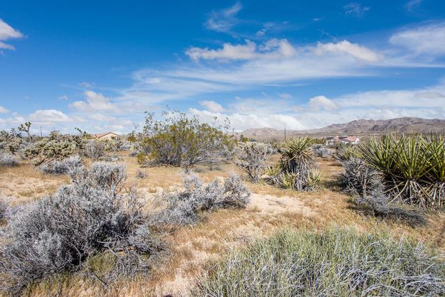 102 Saddleback Road, Joshua Tree, CA 92252