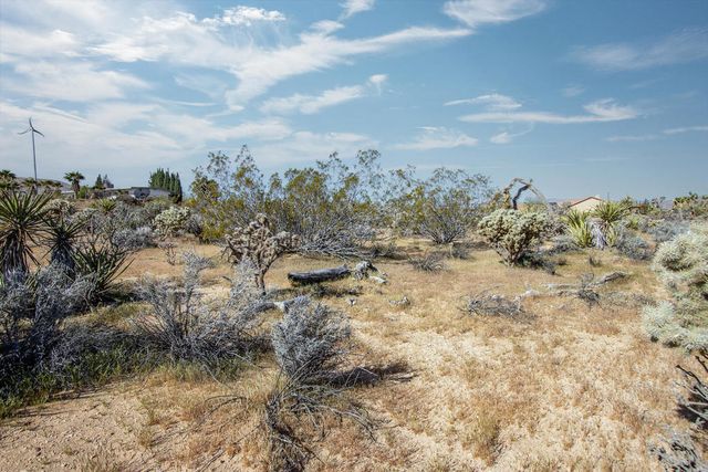 102 Saddleback Road, Joshua Tree, CA 92252