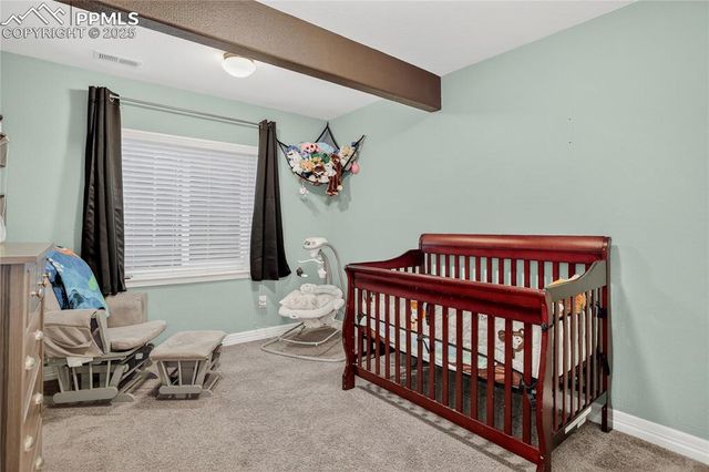 9889 Wando Drive, Colorado Springs, CO 80925