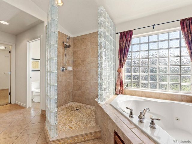 7424 Iridium Way, Castle Rock, CO 80108