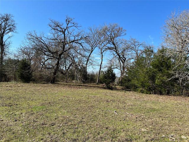 19285 Moriarty Rd, Richards, TX 77873