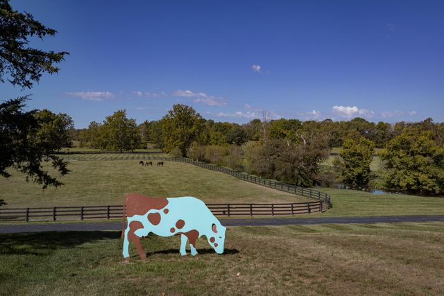 3521 Bryan Station Road, Lexington, KY 40516