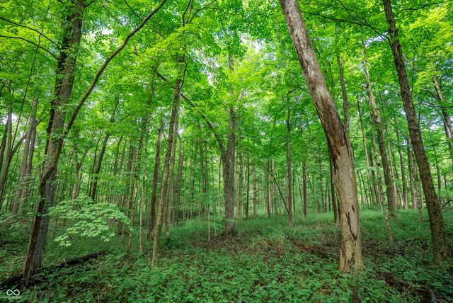 4259 Parkeville Road, Rockville, IN 47872