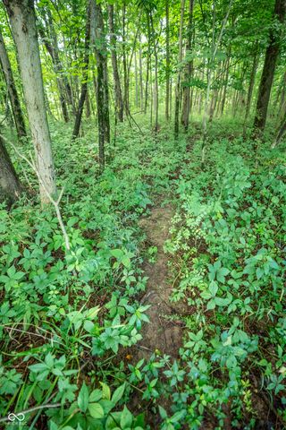 4259 Parkeville Road, Rockville, IN 47872