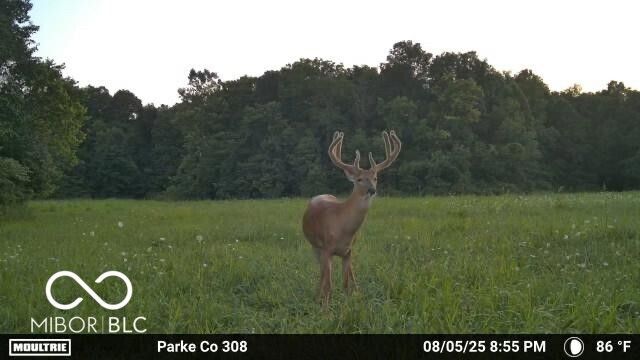 4259 Parkeville Road, Rockville, IN 47872