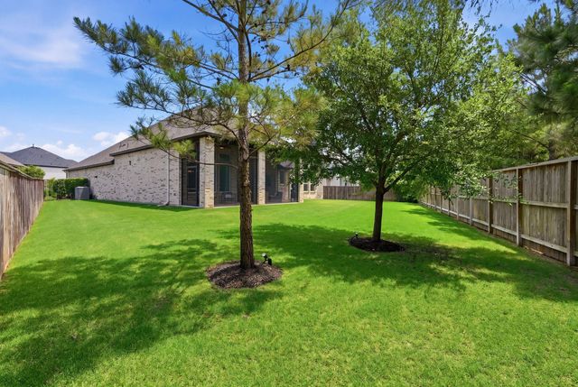49 Snowdrop Lily Drive, Tomball, TX 77375