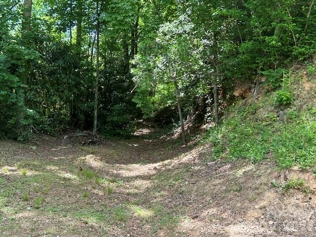 726 Israel Road, Brevard, NC 28712