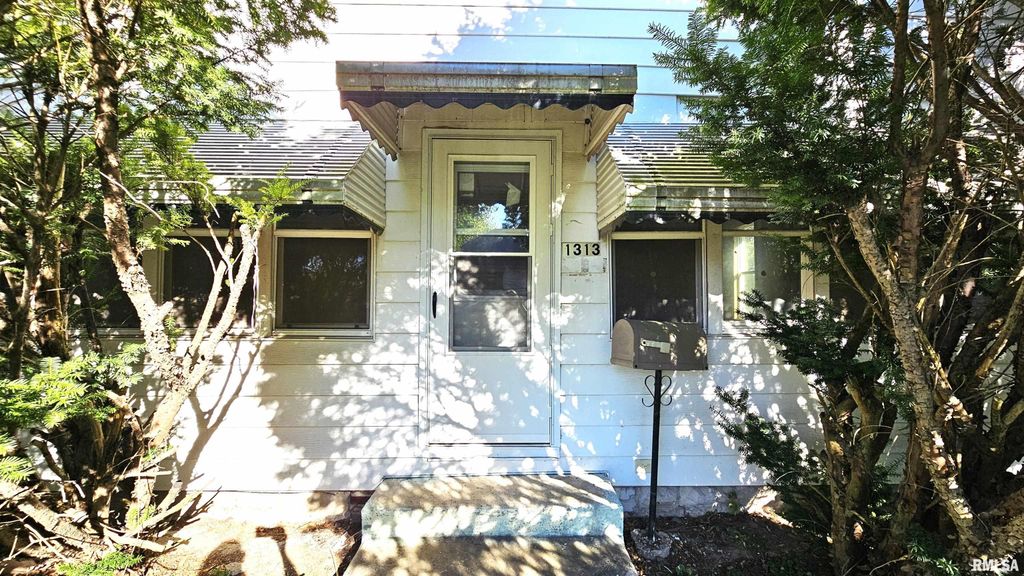 1313 N NEWTON Avenue, Johnston City, IL 62951