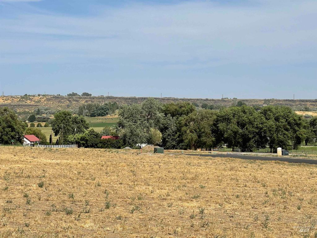 6 Blue Spruce, Hagerman, ID 83332 photo 2