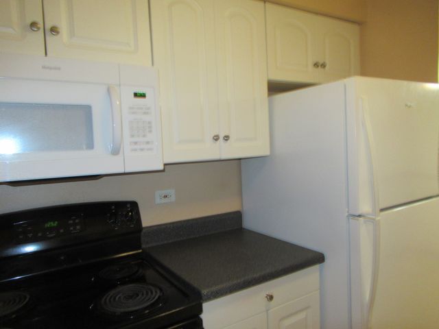 15700 Terrace Drive 1, Oak Forest, IL 60452