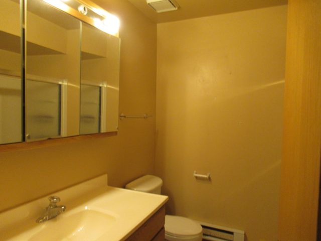 15700 Terrace Drive 1, Oak Forest, IL 60452