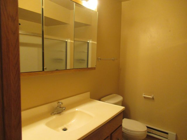 15700 Terrace Drive 1, Oak Forest, IL 60452