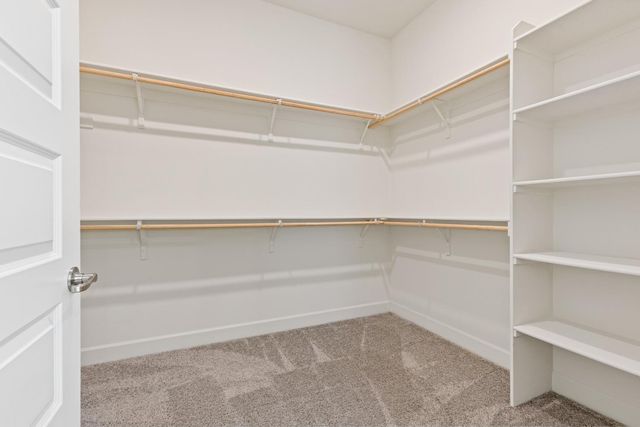 8356 Evans Tree Dr, Roseville, CA 95747