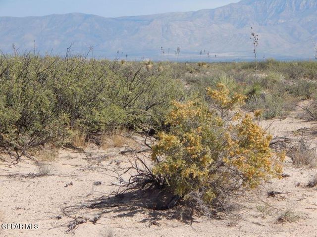 TBD 69 TSP 2 SEC 31 Sparks R L3-4, Dell City, TX 79837