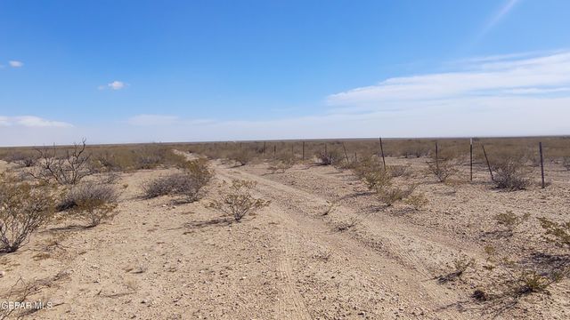 TBD 69 TSP 2 SEC 31 Sparks R L3-4, Dell City, TX 79837