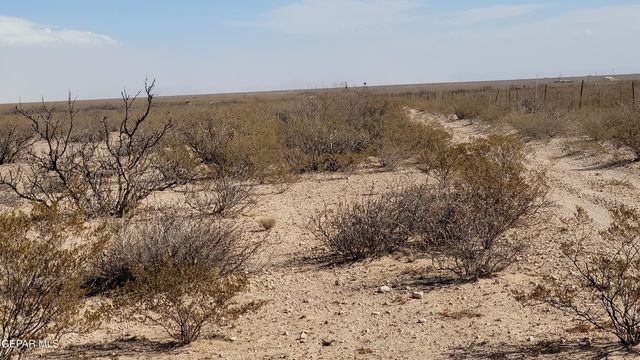 TBD 69 TSP 2 SEC 31 Sparks R L3-4, Dell City, TX 79837