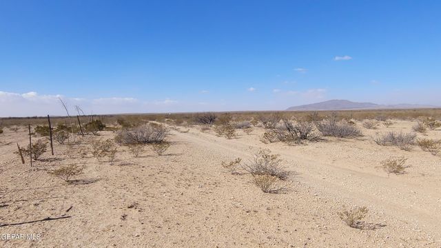 TBD 69 TSP 2 SEC 31 Sparks R L3-4, Dell City, TX 79837