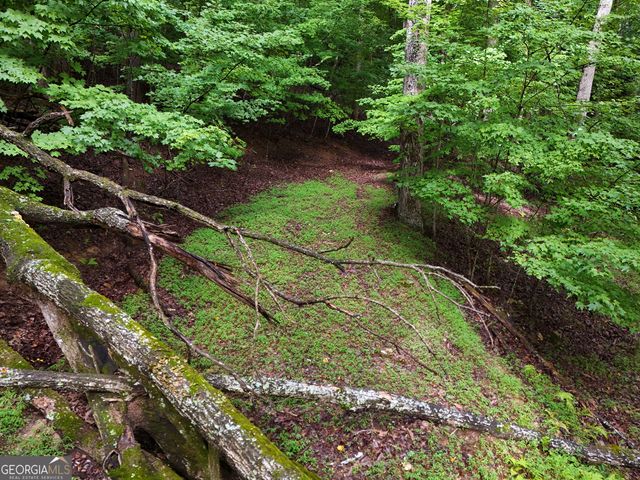 LOT 71 Chicory Drive W, Blairsville, GA 30512