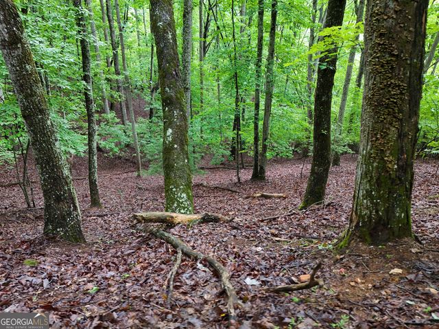 LOT 71 Chicory Drive W, Blairsville, GA 30512
