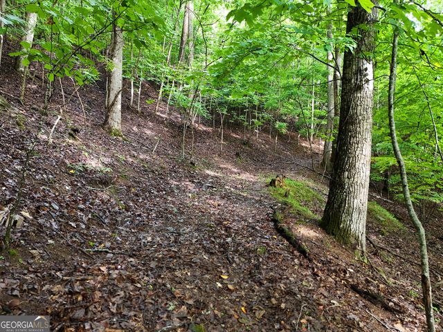 LOT 71 Chicory Drive W, Blairsville, GA 30512