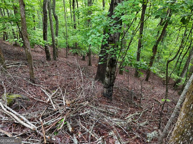 LOT 71 Chicory Drive W, Blairsville, GA 30512