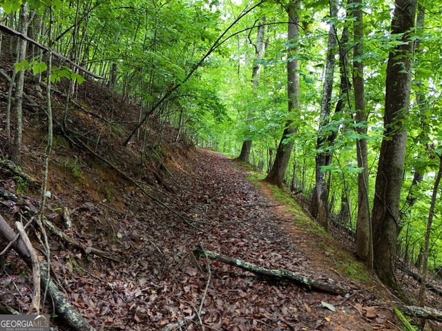 LOT 71 Chicory Drive W, Blairsville, GA 30512