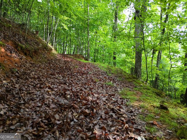 LOT 71 Chicory Drive W, Blairsville, GA 30512