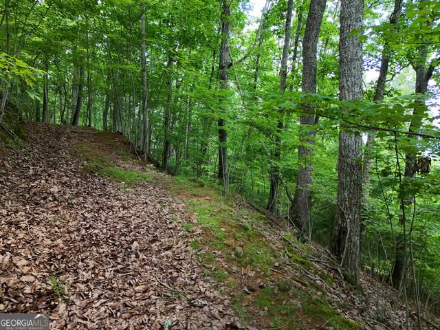 LOT 71 Chicory Drive W, Blairsville, GA 30512