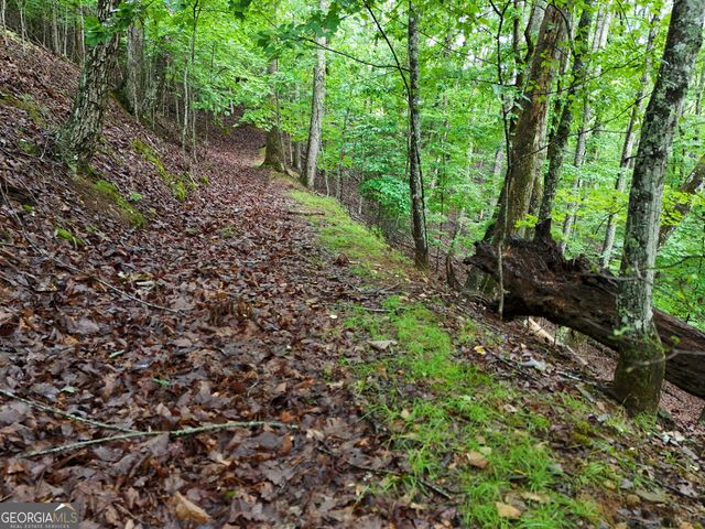 LOT 71 Chicory Drive W, Blairsville, GA 30512