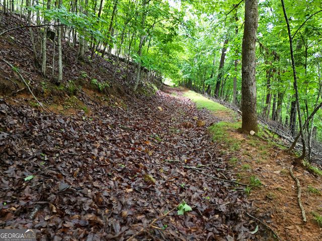 LOT 71 Chicory Drive W, Blairsville, GA 30512