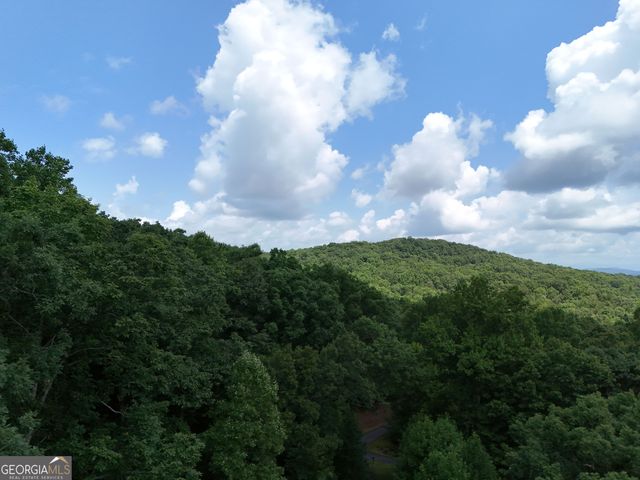 LOT 71 Chicory Drive W, Blairsville, GA 30512