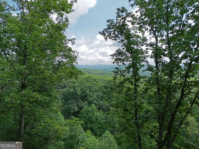 LOT 71 Chicory Drive W, Blairsville, GA 30512
