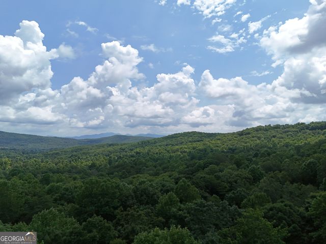 LOT 71 Chicory Drive W, Blairsville, GA 30512