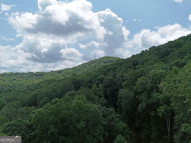 LOT 71 Chicory Drive W, Blairsville, GA 30512