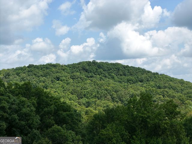 LOT 71 Chicory Drive W, Blairsville, GA 30512