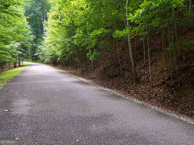 LOT 71 Chicory Drive W, Blairsville, GA 30512