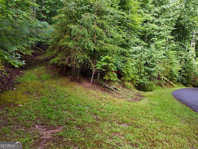 LOT 71 Chicory Drive W, Blairsville, GA 30512
