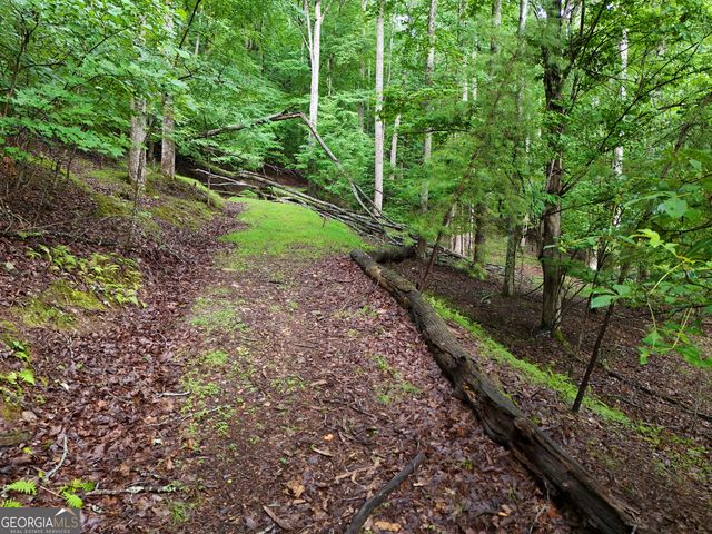LOT 71 Chicory Drive W, Blairsville, GA 30512