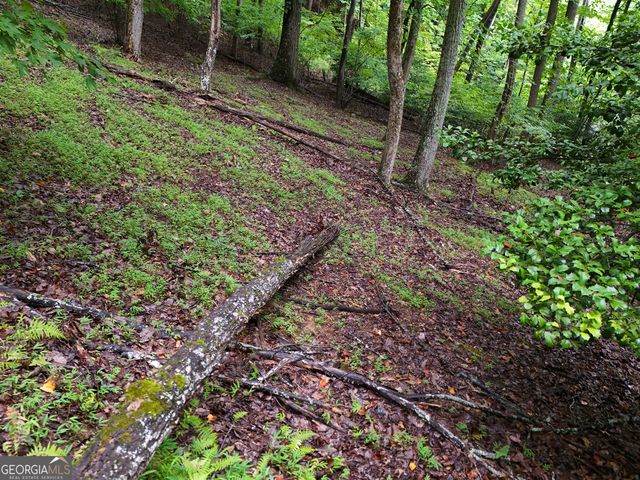 LOT 71 Chicory Drive W, Blairsville, GA 30512