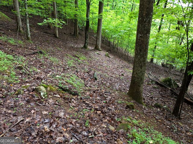LOT 71 Chicory Drive W, Blairsville, GA 30512