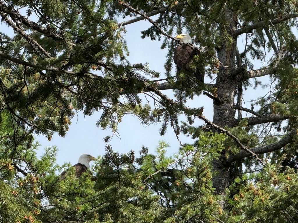 18082 & 18090 Demersville Wagon Road, Lakeside, MT 59922 photo 130