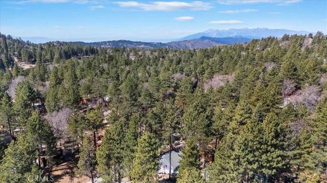 33338 Wild Rose, Green Valley Lake, CA 92341