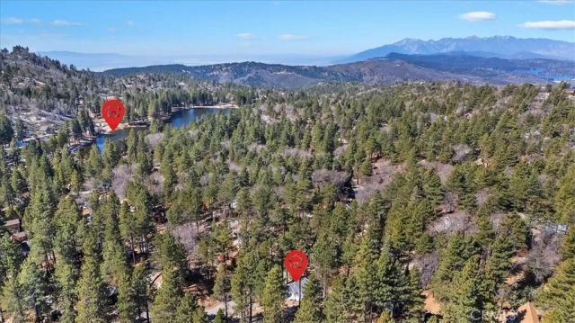 33338 Wild Rose, Green Valley Lake, CA 92341