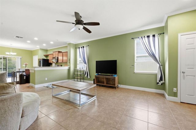 30235 CHEVAL STREET, Mount Dora, FL 32757